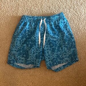 Men’s Lined Chubbies Bathing Suit